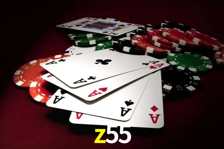 Design Responsivo z55