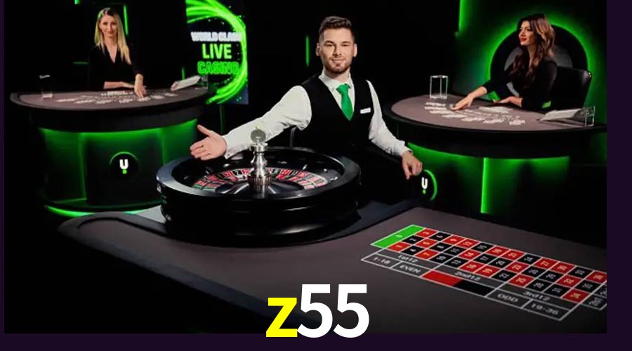 Game Providers z55