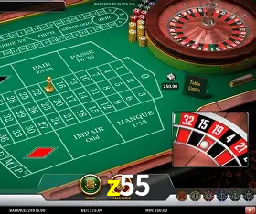 Flash Promotion z55